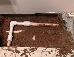 昔阳测漏水哪家好