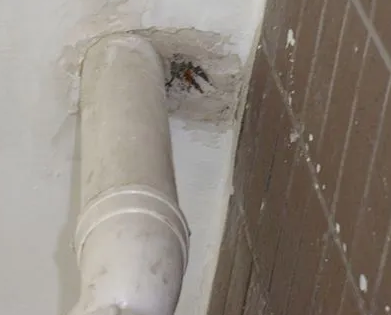 昔阳漏水检测哪家好